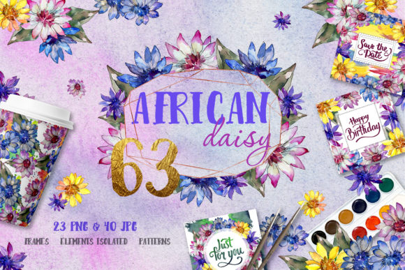 African Daisy Watercolor Illustrations
