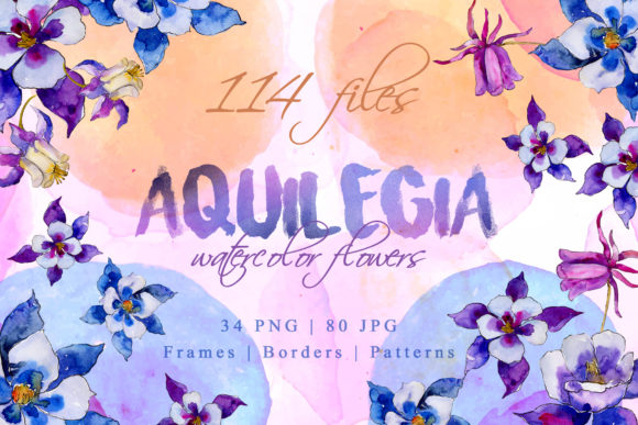 Aquilegia Watercolor Illustrations