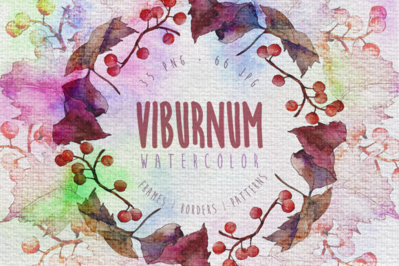 Autumn Viburnum Leaf Watercolor Set and Illustrations
