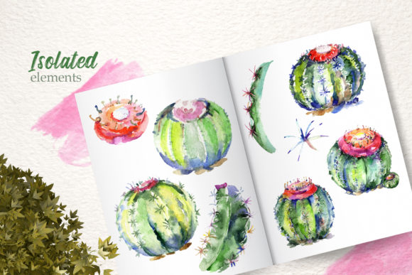 Cacti Watercolor Illustrations