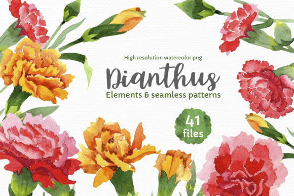 Carnation Red Flowers Illustration for Branding