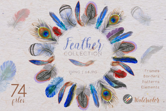 Feather Collection Watercolor Set and Illustrations