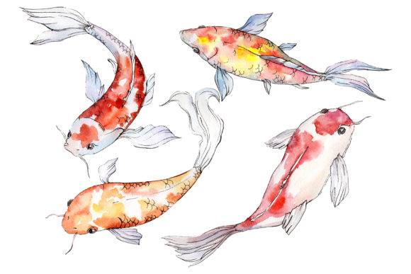 Goldfish-2 Watercolor Illustrations