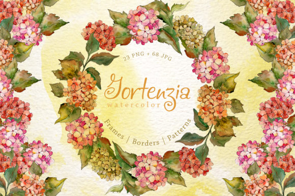 Gortenzia Watercolor Flower Set and Illustrations