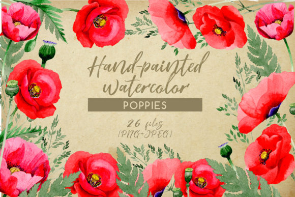 Hand-painted Poppies Watercolor Set and Illustrations