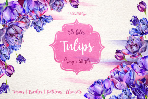 Lovely Purple Tulip Watercolor Set Illustrations
