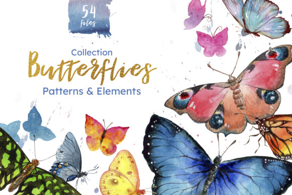 Miracle of Nature Butterflies Watercolor Illustrations