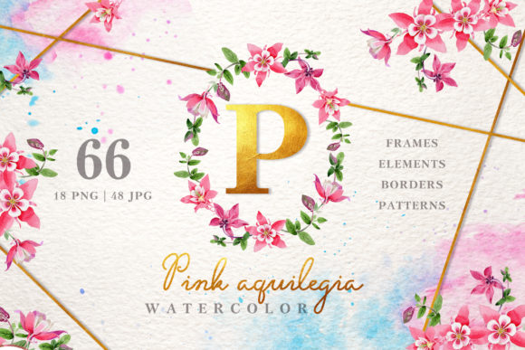 Pink Aquilegia Watercolor Illustrations