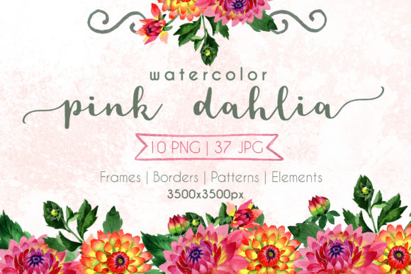 Pink Dahlia Watercolor Set and Illustrations