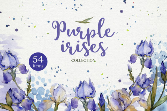 Purple Irises Flowers Morning Dawn Watercolor Illustrations