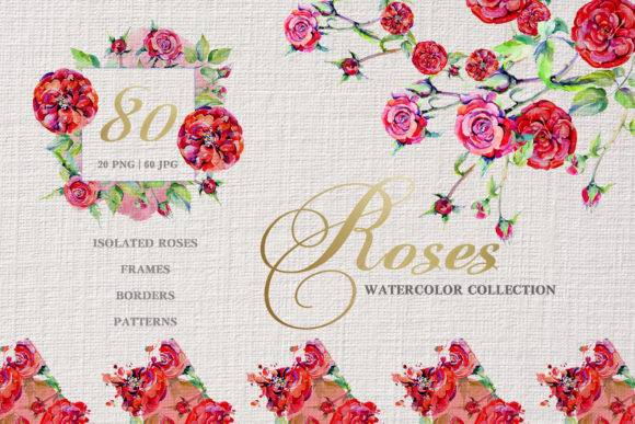 Rose Red Magic Watercolor Illustrations