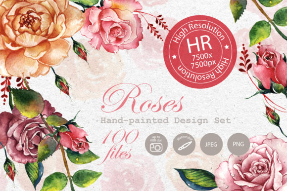 Stunning Roses Watercolor Set Illustrations