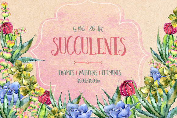Succulents Watercolor Set and Illustrations