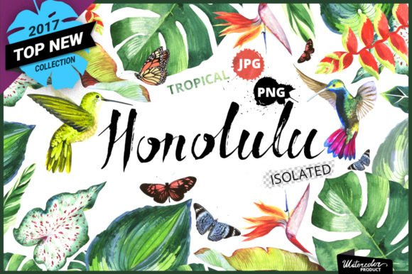 Tropical Clipart Watercolor Illustrations
