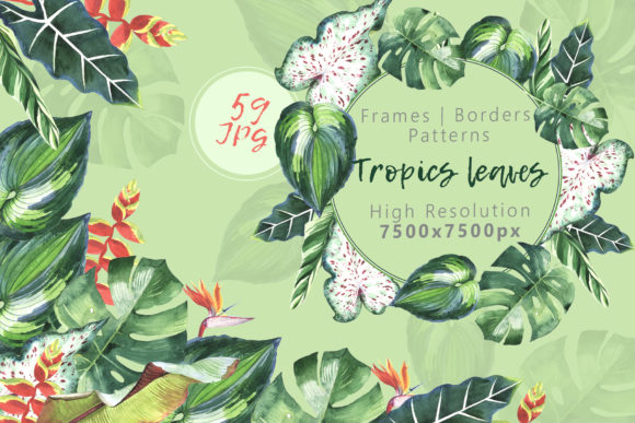 Tropics Leaves Watercolor Set