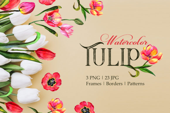 Tulip Red Watercolor Illustrations
