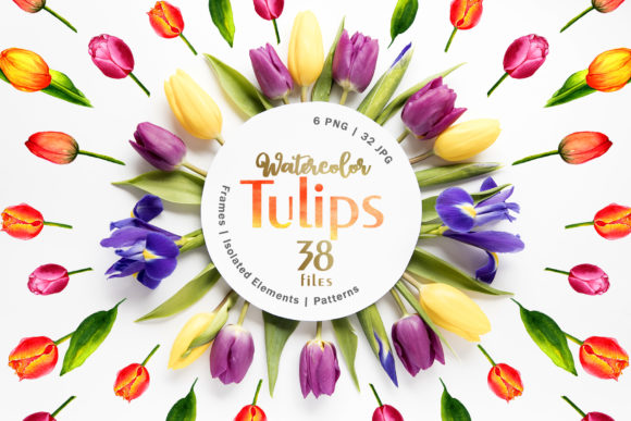 Tulips Watercolor Red Illustrations