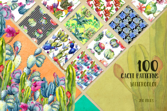 Watercolor 100 Cacti Patterns Set and Illustrations