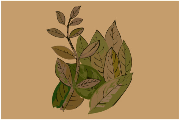 Watercolor Hand Drawn Branches Illustrations