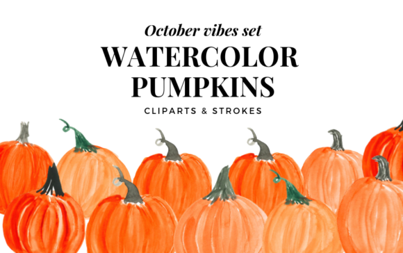 Watercolor Pumpkin Clipart, Orange Pumpk Illustrations
