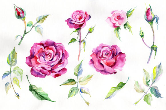 Wildflower Pink Rosa Watercolor Set