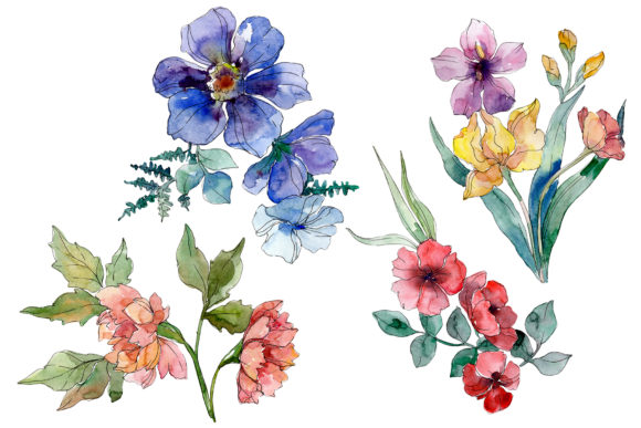 Wildflowers Watercolor Illustrations